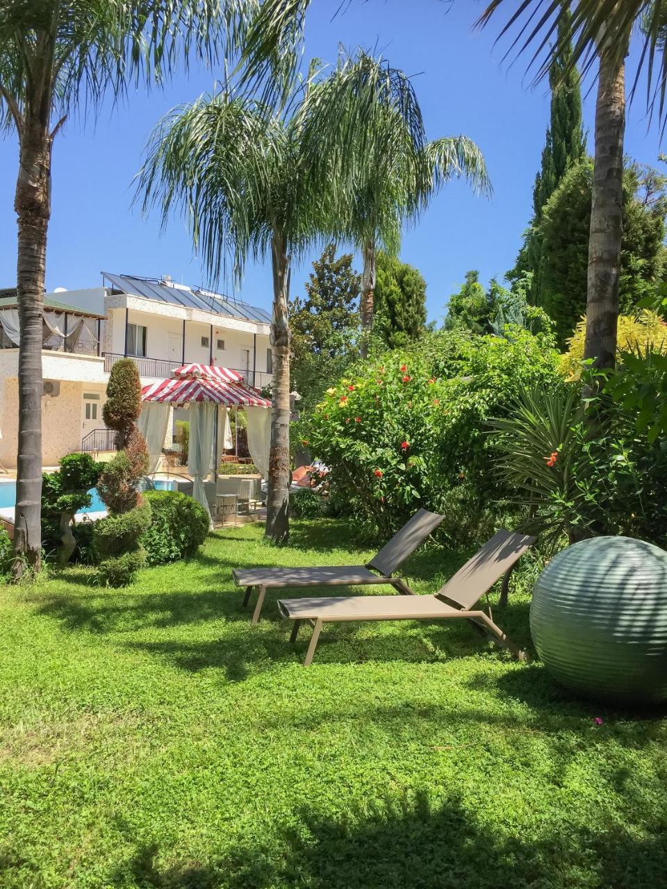 קמר Sofia Residence מראה חיצוני תמונה